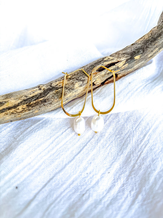 Freshwater Pearl on Gold hoops - Beadsmith
